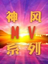 神风在线视频,揭秘神秘网络世界的力量与挑战