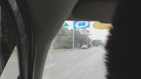 周陵科目三在线视频