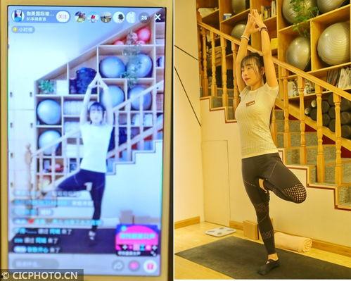 瑜伽直播在线视频,轻松入门，享受健康生活