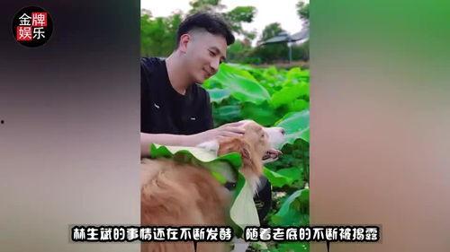 思思人妻在线视频,揭秘网络视频背后的真实故事