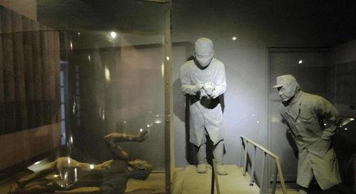 731高清在线视频,震撼视听的视觉盛宴